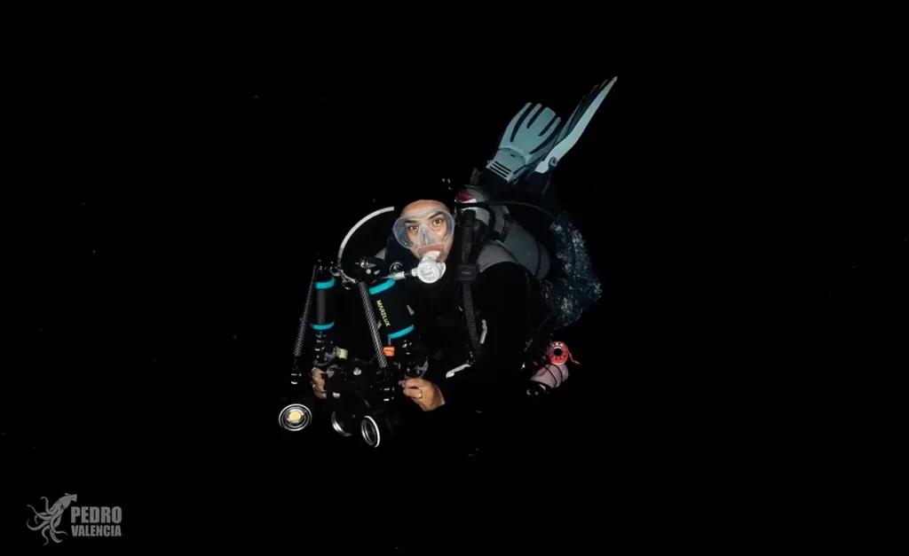 Fotografía blackwater en Cozumel: la exposición que revela el océano invisible