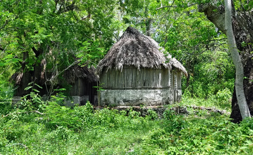 Aprueban hotel de 540 habitaciones cerca de Sian Ka’an y surgen críticas