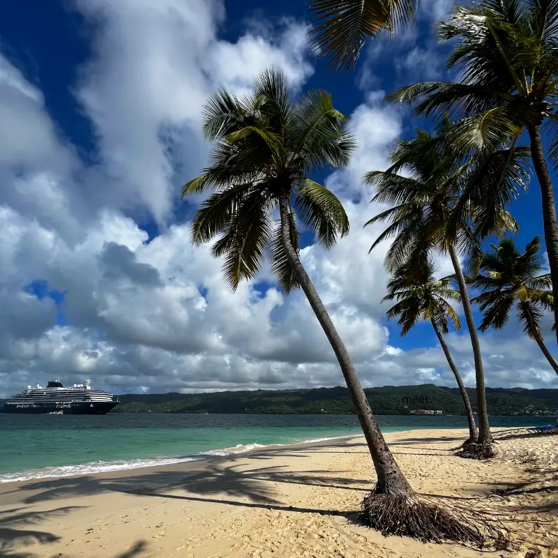 Imagen de playa con palmeras y un crucero en el fondo
