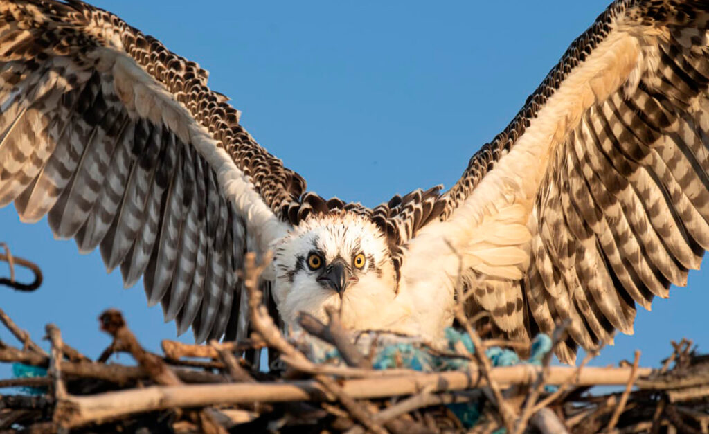 Imagen cortesía: Gobierno del Estado de Quintana Roo.