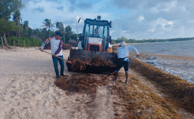 Imagen cortesía: Ayuntamiento de Playa del Carmen.