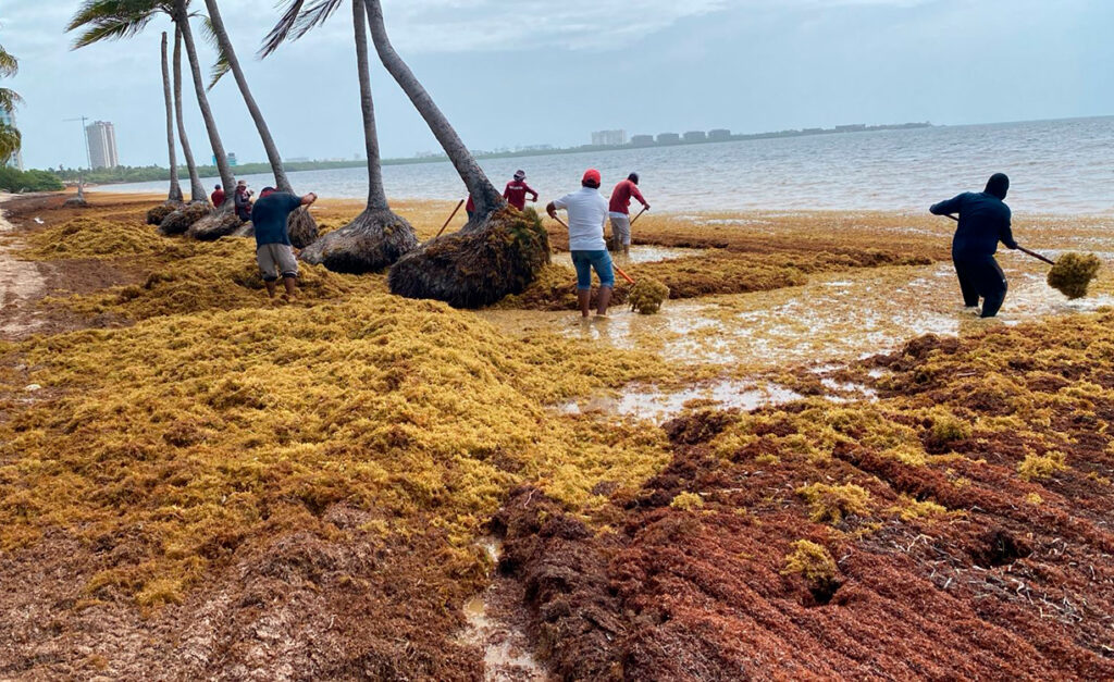 Imagen cortesía: Ayuntamiento de Cancun.