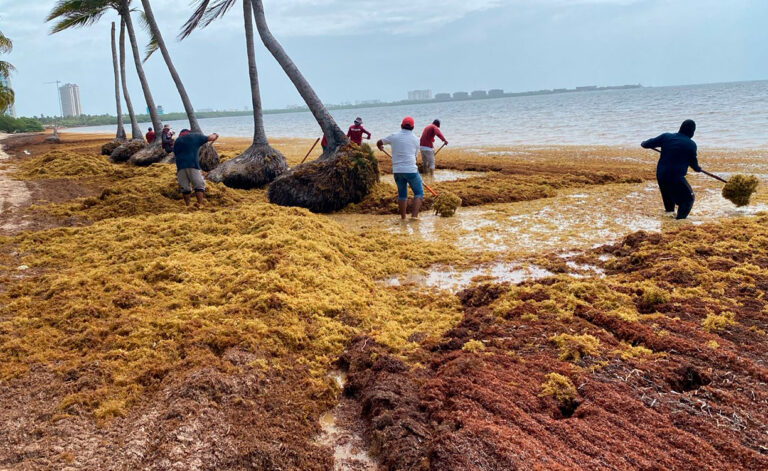 Imagen cortesía: Ayuntamiento de Cancun.