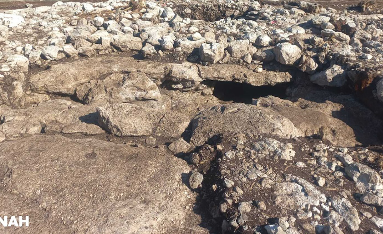 Imagen cortesía: Susana Echeverría.