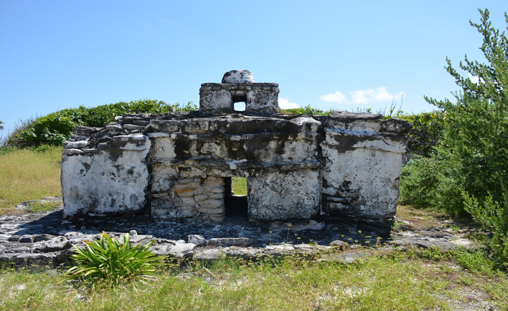 Imagen cortesía: Saúl Peláez S.