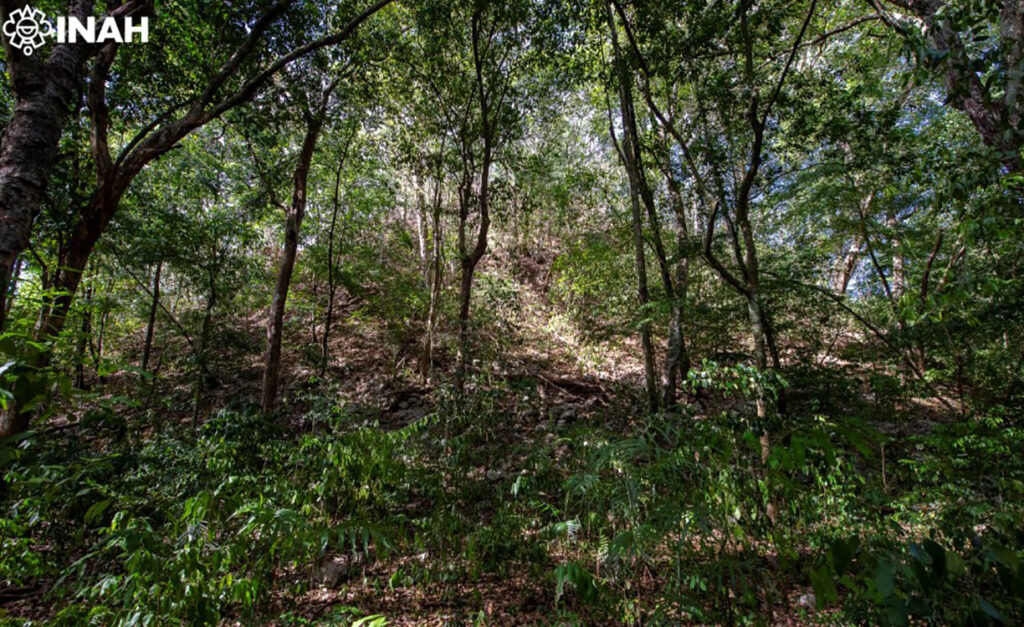 La Reserva de la Biosfera Balam Kú, en Campeche, cobija las ruinas de El Yesal, una de las urbes más grandes de las Tierras Bajas Mayas Centrales. Foto: Daniel Santaella INAH.